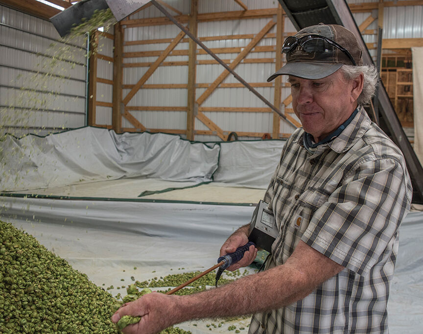 Mungo's hop farm